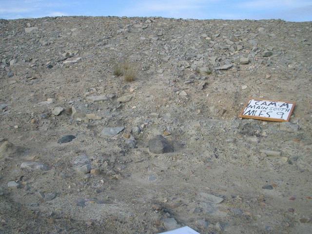 Thumb for 17 aug 05 mlfs9.jpg (3201 KB)